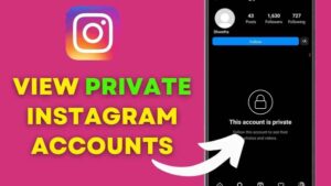Private Account Stalk APK Download Latest v5.7 3
