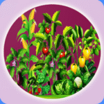 Organic Veggie APK v1.0 Free Download For Android