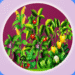 Organic Veggie APK v1.0 Free Download For Android